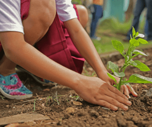 Earth Day activities for Kids planting tree