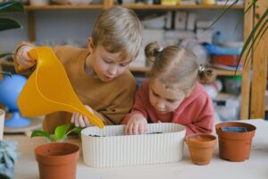 SeedBox planting