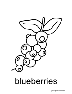 blueberry coloring sheets