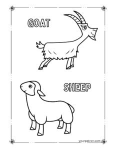 Coloring Sheets Farm Animals