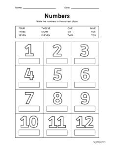 Number Word Worksheets