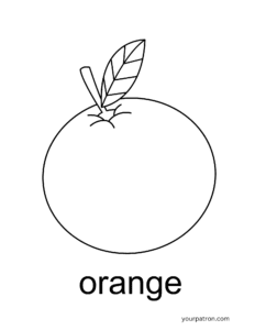 Orange coloring sheets