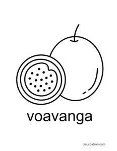Voavanga Fruit Coloring Sheets