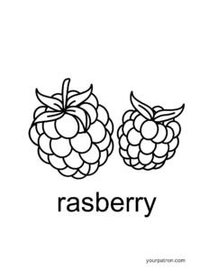 rasberry coloring sheets