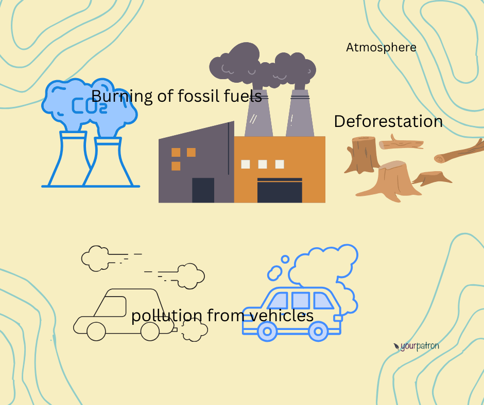 Alberta Curriculum Grade 4 Earth Systems