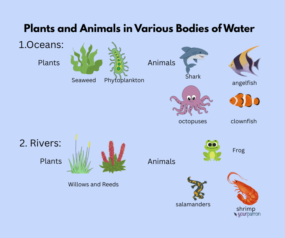 plants and animals in oceans and rivers