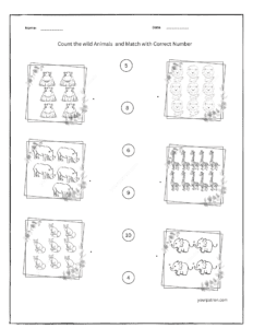 wild animals matching worksheets for preschool